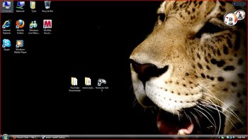 leopardfacedesktopbackgroun.JPG