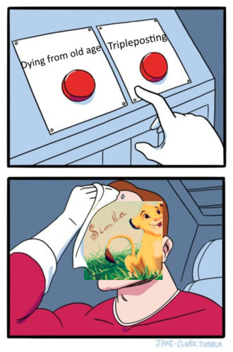 Lion Kings Memes.png