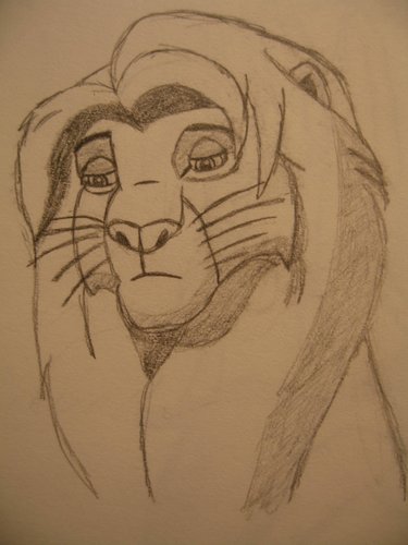 Simba sketch #3.JPG