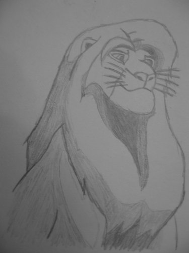 Simba sketch #5.JPG