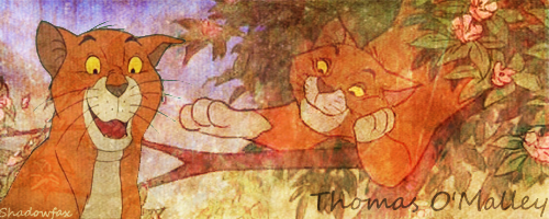 Thomas-Omalley-banner.png